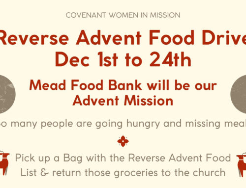 Advent Mission 2024